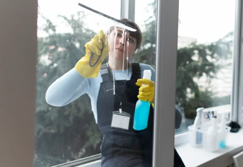 Nettoyage de vitres intérieures et extérieures à Reynès